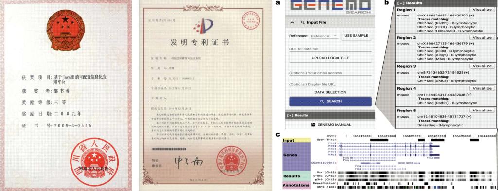 体育博彩公司排名